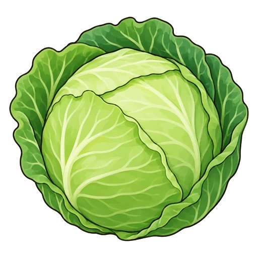 kupus
