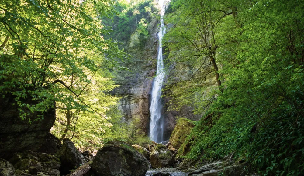 Perućica: Čarobna šuma u srcu Bosne i Hercegovine!